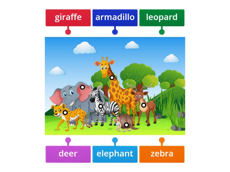 WILD ANIMALS - Labelled diagram