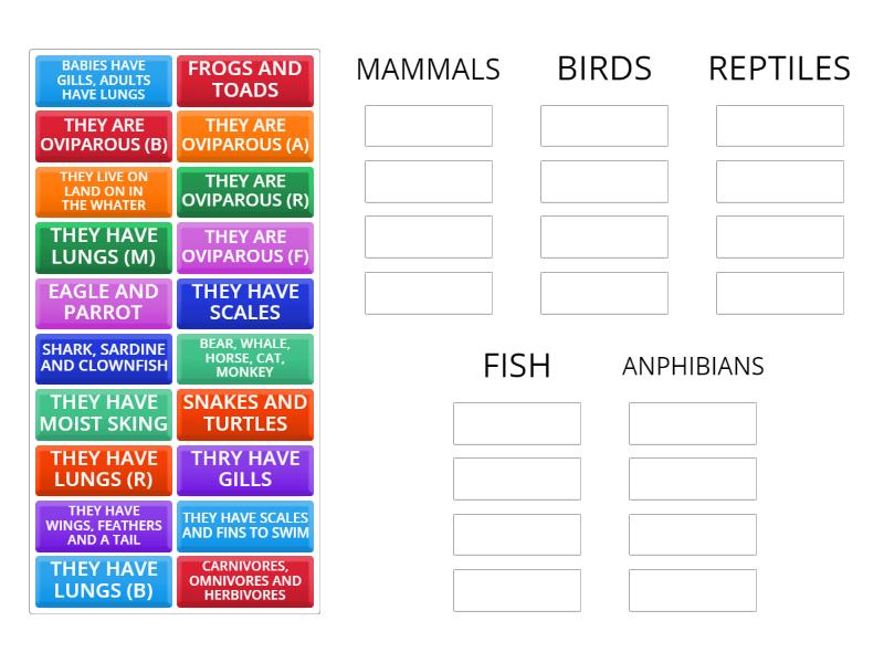 VERTEBRATES - Group sort