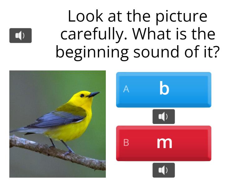 ReadingPhonics Review Quiz