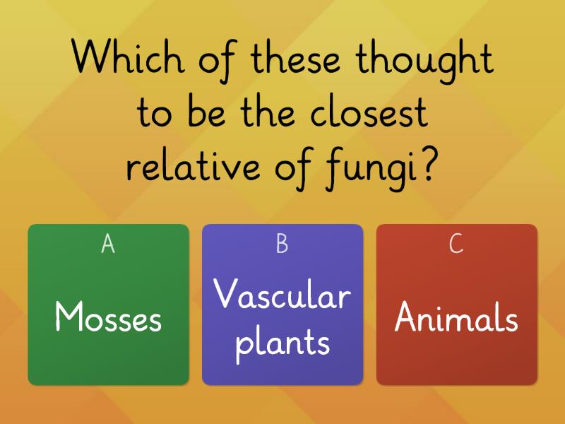 class-8th-gk-quiz