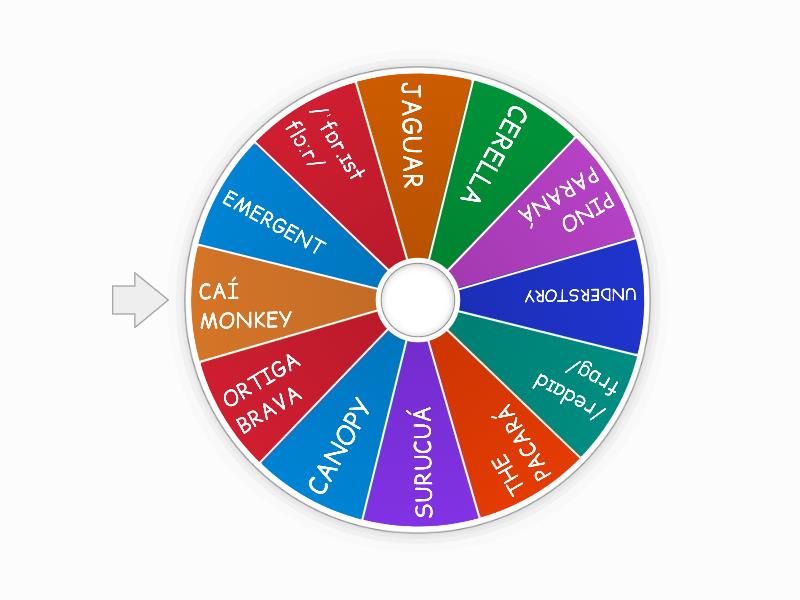 RAINFOREST IN ARGENTINA - Spin the wheel