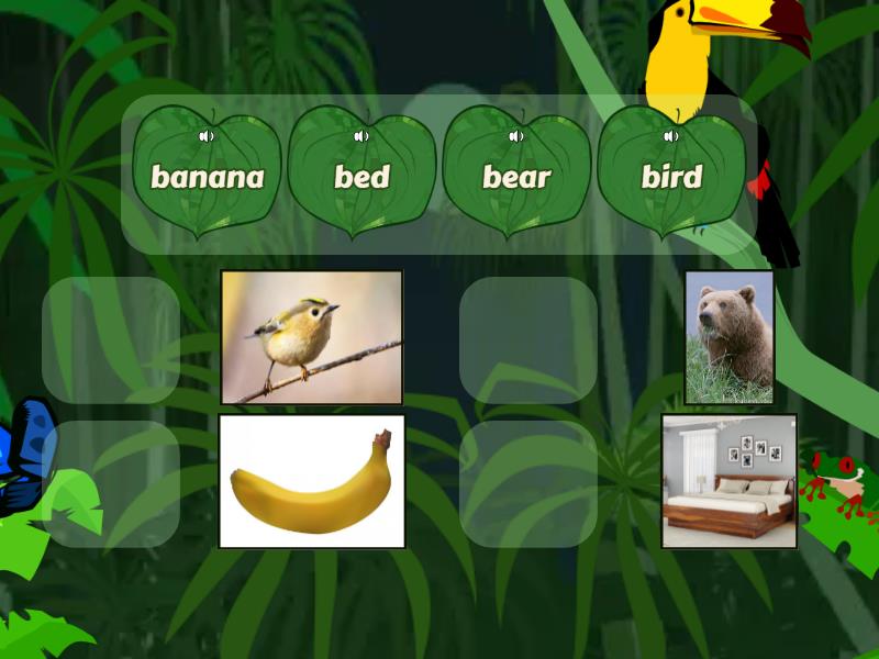 Phonics 1 - B - Match up