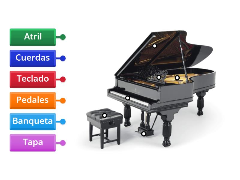 Partes del piano - Diagrama con etiquetas