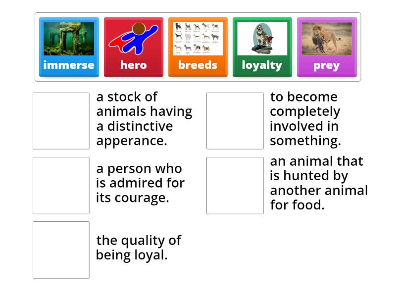 Vocabulary 2c part 1 - Match up