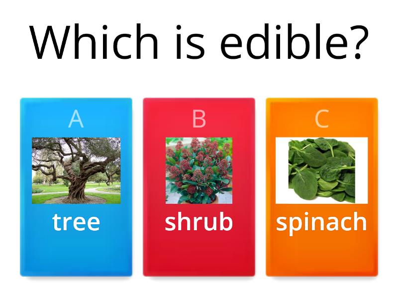 Edible and Non-Edible Plants - Quiz