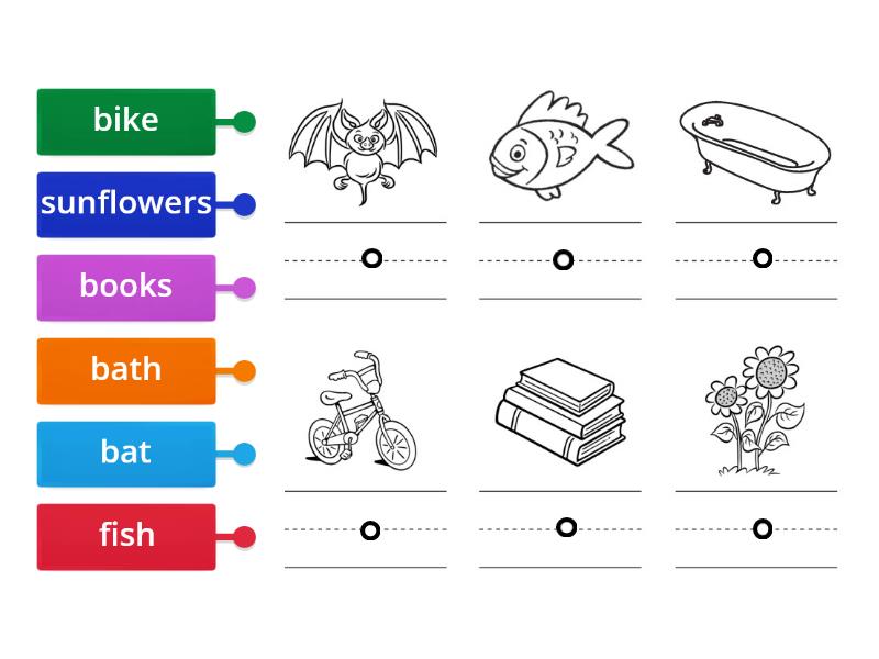 vocabulary building - Labelled diagram