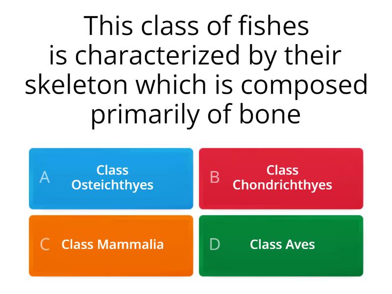 VERTEBRATES - Quiz