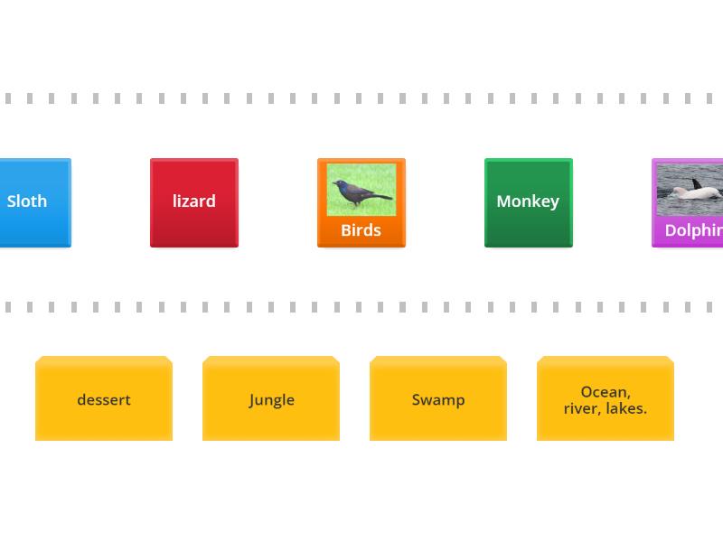 Animals and habitats - Speed sorting