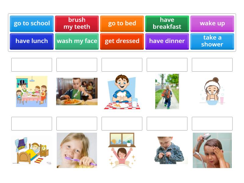 Daily routine activities - Match up