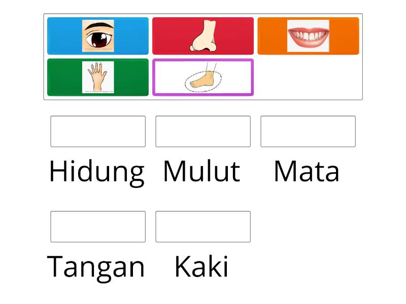 Diriku - Anggota tubuh - Match up