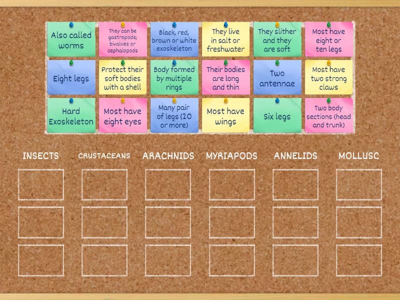 Invertebrates - Group sort