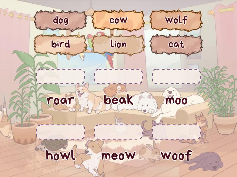 Animals Game Match Up