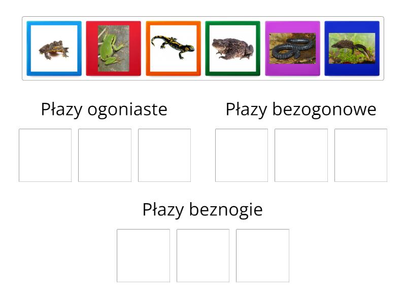 Płazy - rozpoznawanie - Group sort