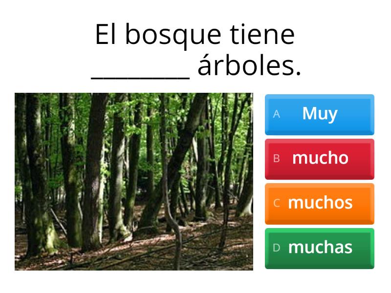 Muy/mucho/mucha/muchos/muchas - Quiz