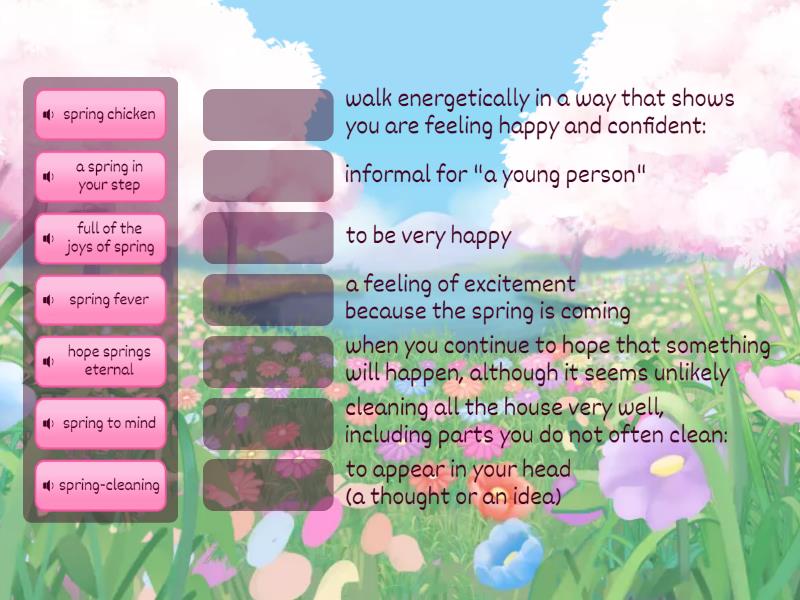 Spring Idioms - Match up