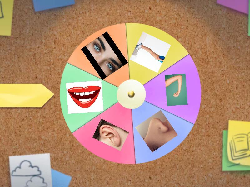 Body parts - Random wheel