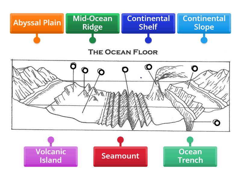The Ocean Floor - Labelled diagram