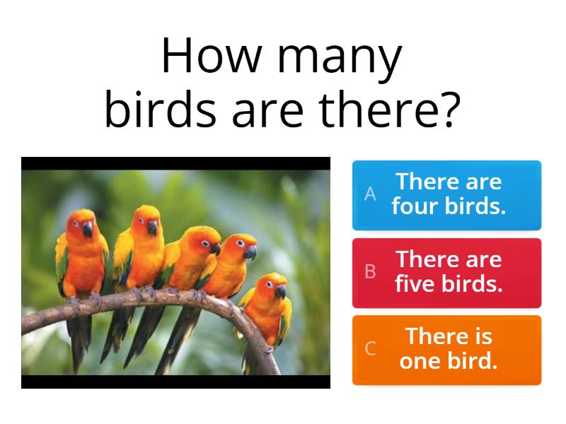 how-many-1st-grade-quiz