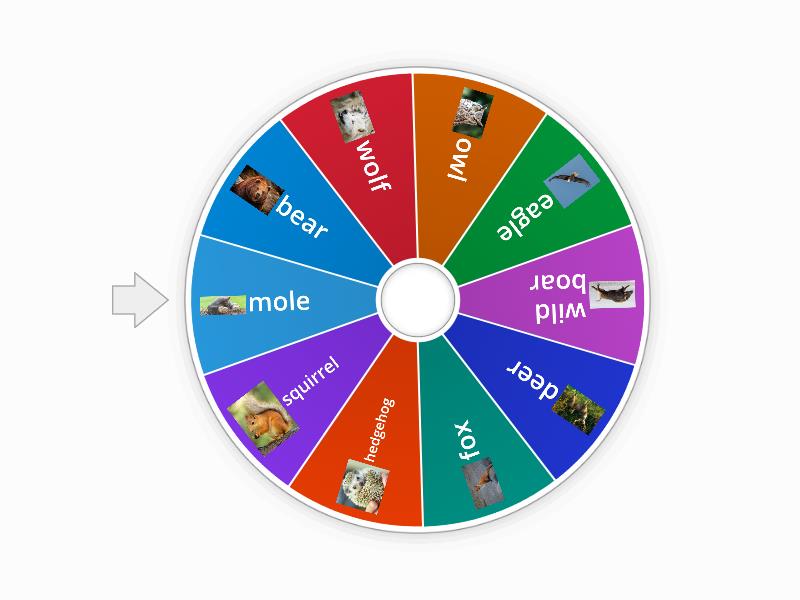 forest animals - Spin the wheel