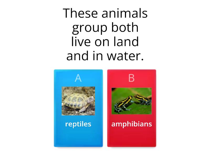 Reptiles / Amphibians - Quiz