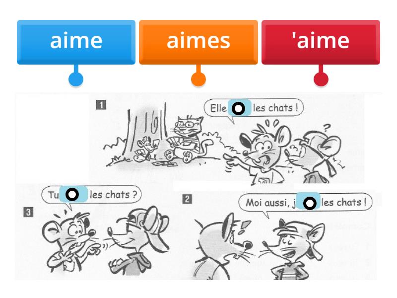 aimer - Labelled diagram