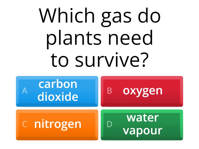 What do plants need to survive? Questionário