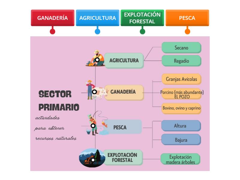 ESQUEMA SECTOR PRIMARIO Diagrama Con Etiquetas