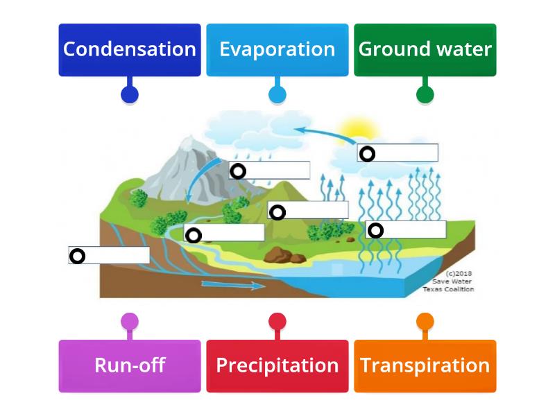 Water Cycle - Labelled diagram