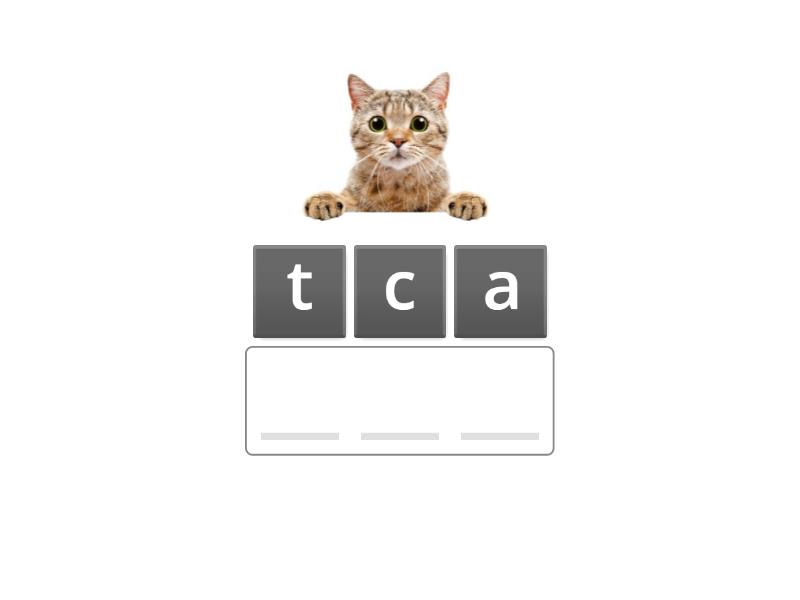 Starlight starter. My animals - Anagram