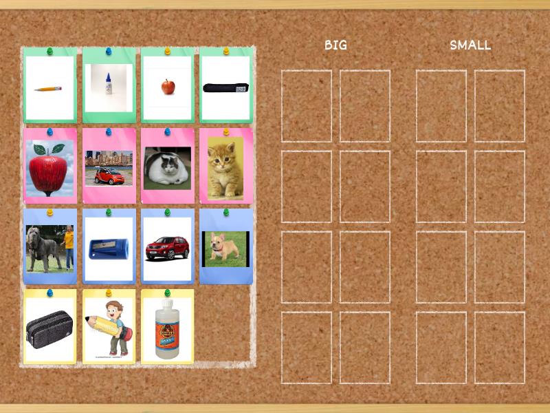 IS IT BIG OR SMALL? - Group sort
