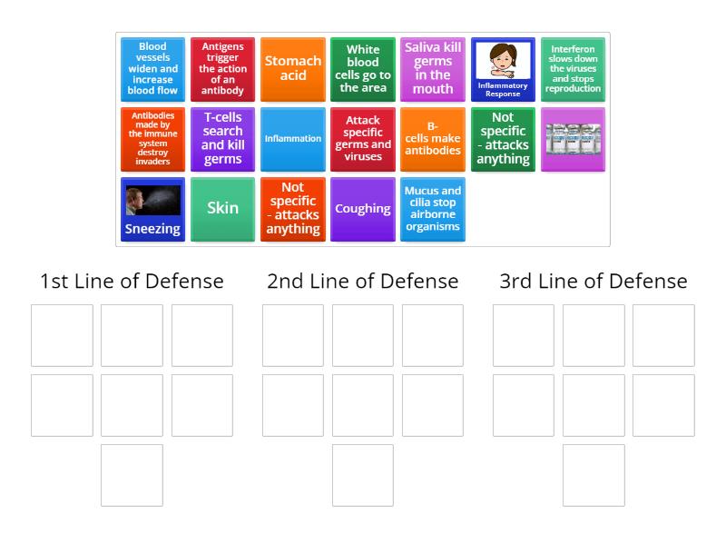 what are the 3 lines of defence in the human immune system