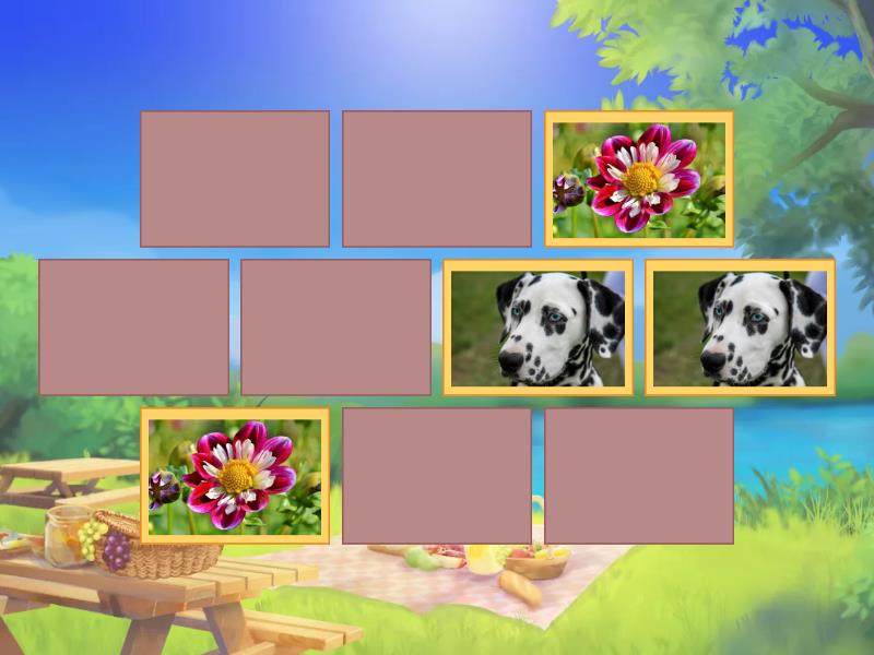 NON-MENDELIAN MATCHING GAME - Matching pairs