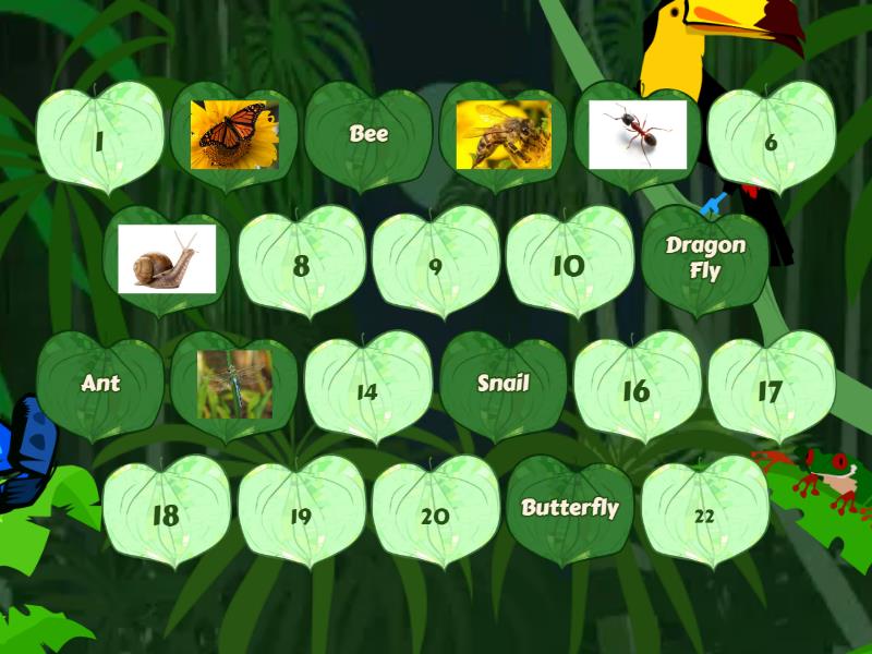 Insects - Matching pairs