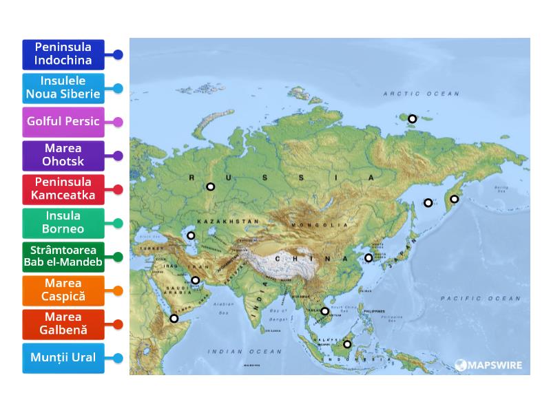 ASIA LIMITE SI ARTIC. TARMURILOR - Labelled diagram