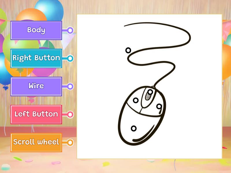 mouse parts - Labelled diagram