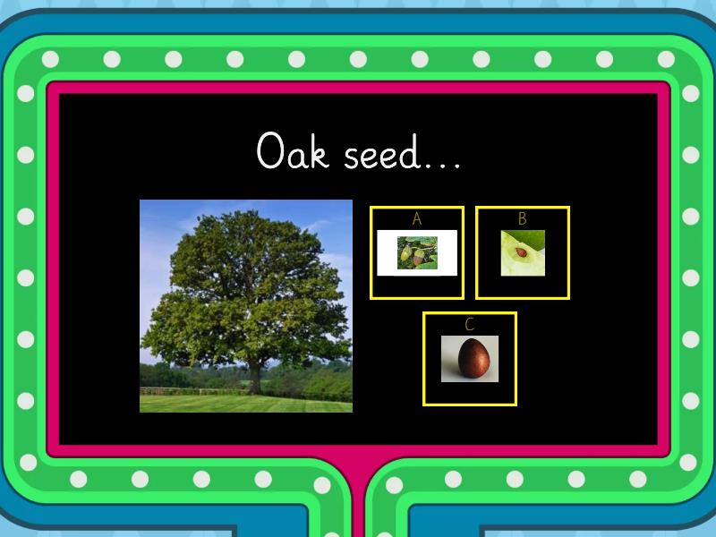Identify the seed Gameshow quiz
