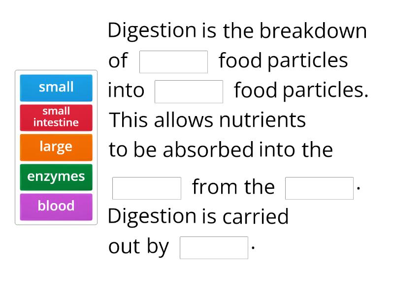 Digestion Easy Sentence