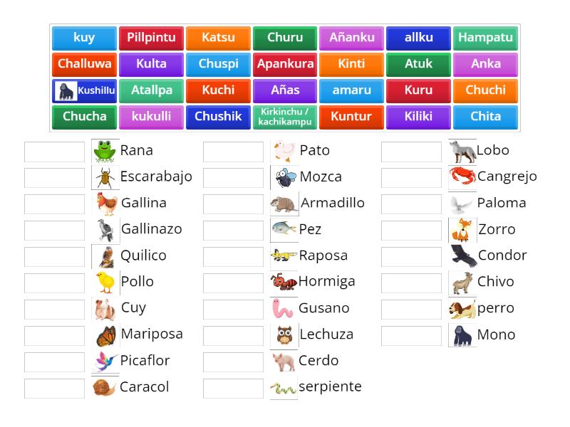 Copia de Animales En Kichwa - Match up
