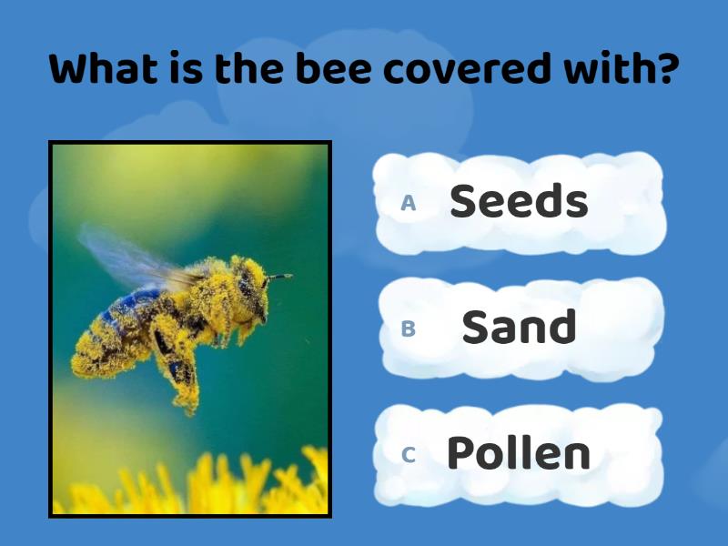 U3 l2 how do animals help plants cuestionario