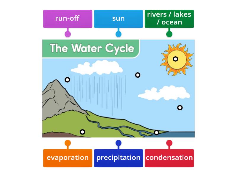 Water Cycle - Labelled diagram