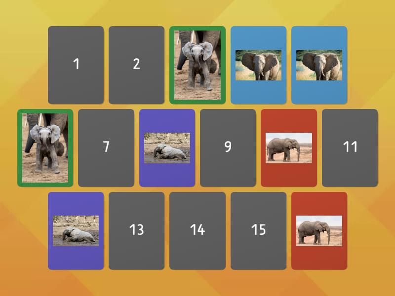 Elephant Memory Game - Matching pairs