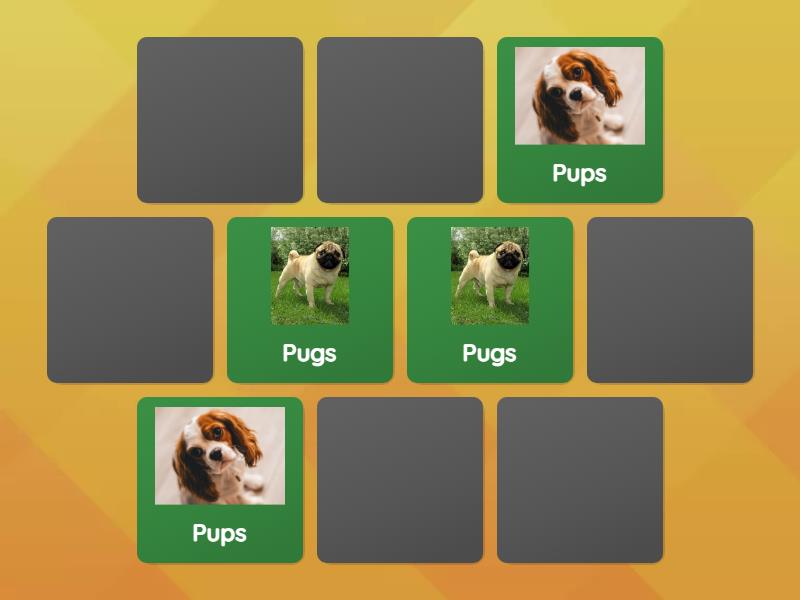 Dogs - Matching pairs