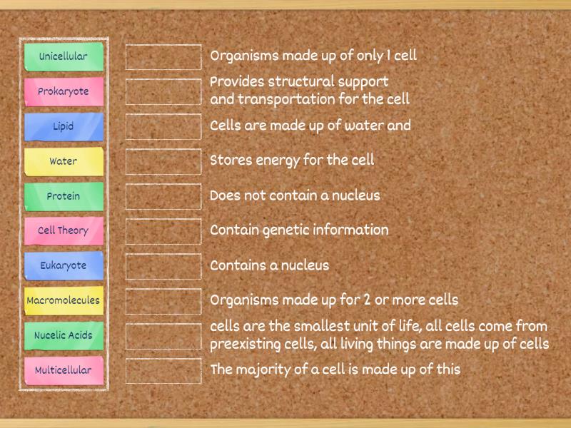 Cells - Match up