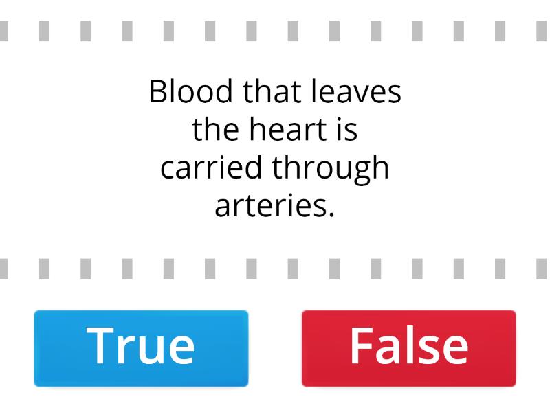 Circulatory System True Or False 1269