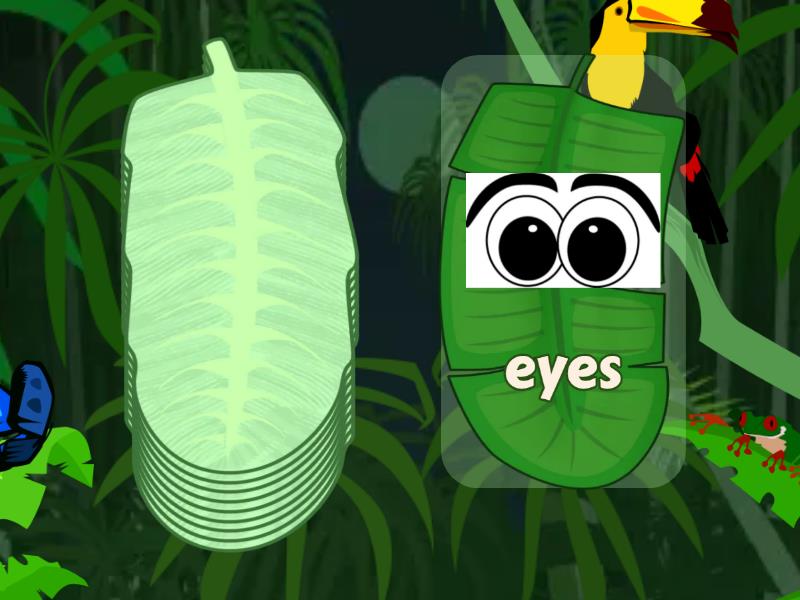 Vocabulary Appearance Random Cards