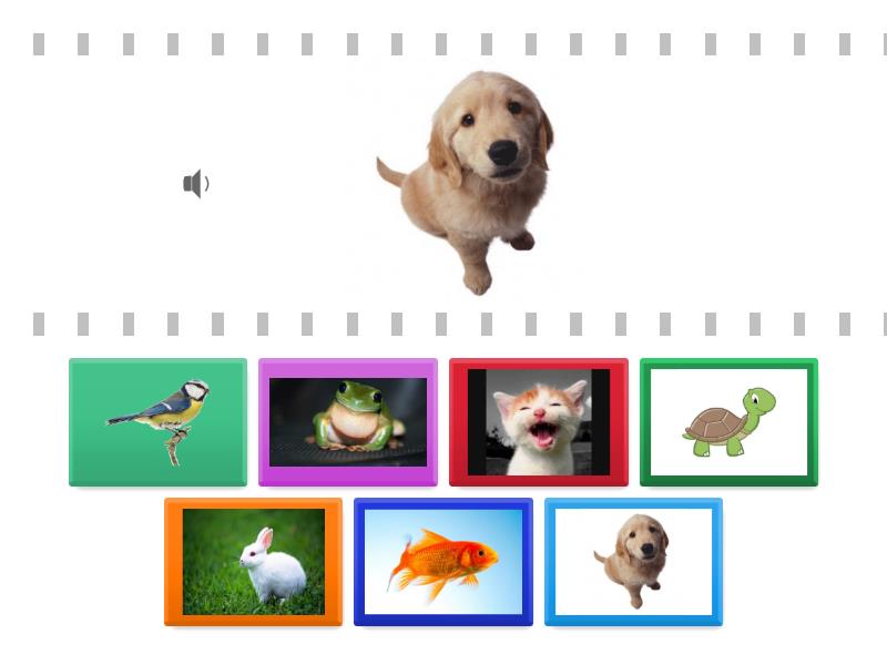 EMPAREJAR ANIMALES VISUAL Find the match