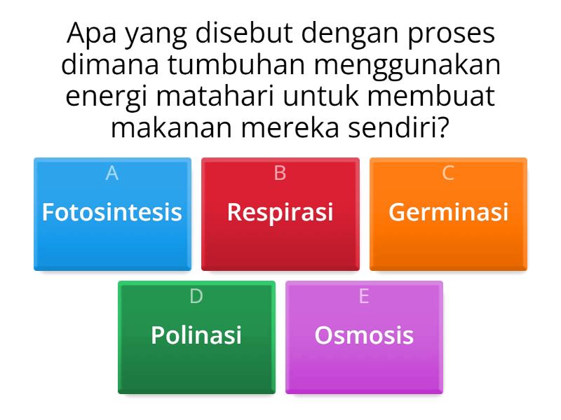 Soal Latihan Materi Pertumbuhan Dan Perkembangan Makhluk Hidup - Quiz