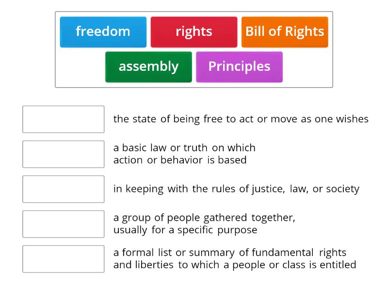 Social Studies Bill of Rights Vocabulary Review - Match up