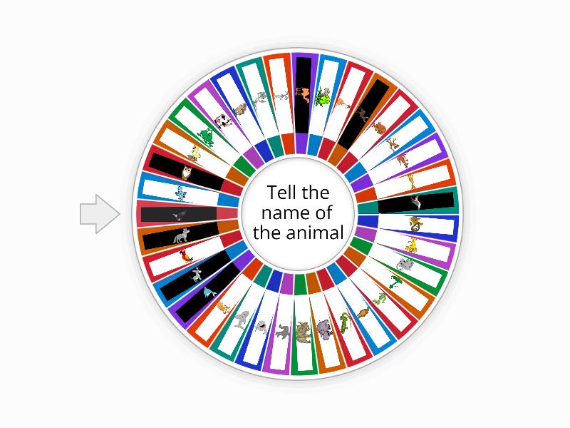 Animals Spin The Wheel