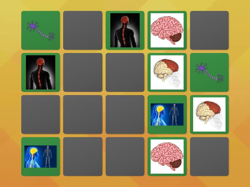 Jogo da memória - Combine os pares